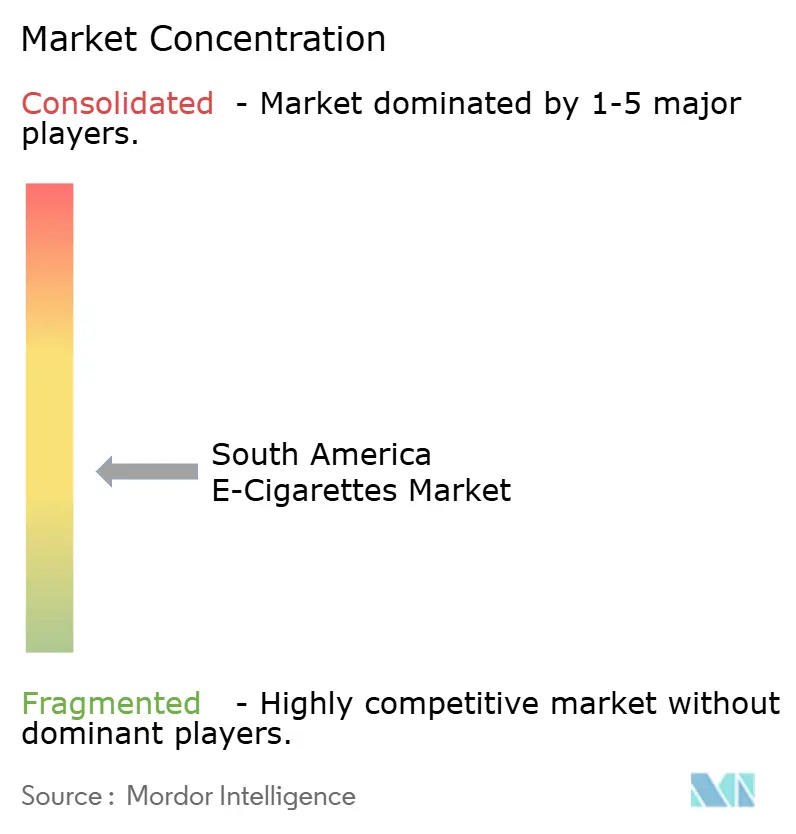 South America E-Cigarettes Market Concentration