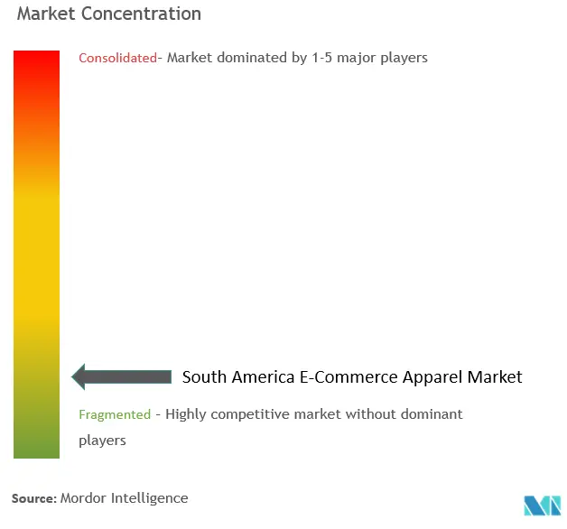 South America E-Commerce Apparel Market Concentration