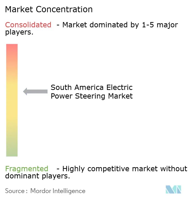 Concentración del Mercado de Dirección Eléctrica Asistida de América del Sur