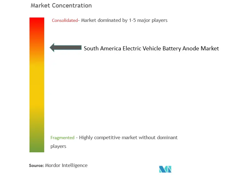 South America Electric Vehicle Battery Anode Market Concentration