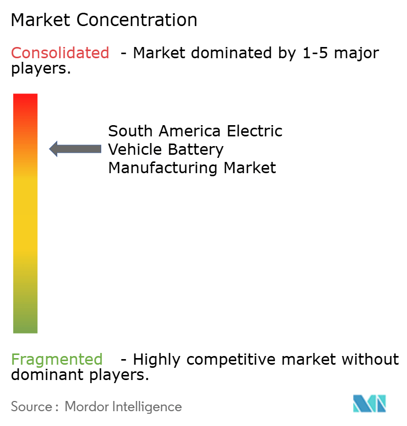 South America Electric Vehicle Battery Manufacturing Market Concentration