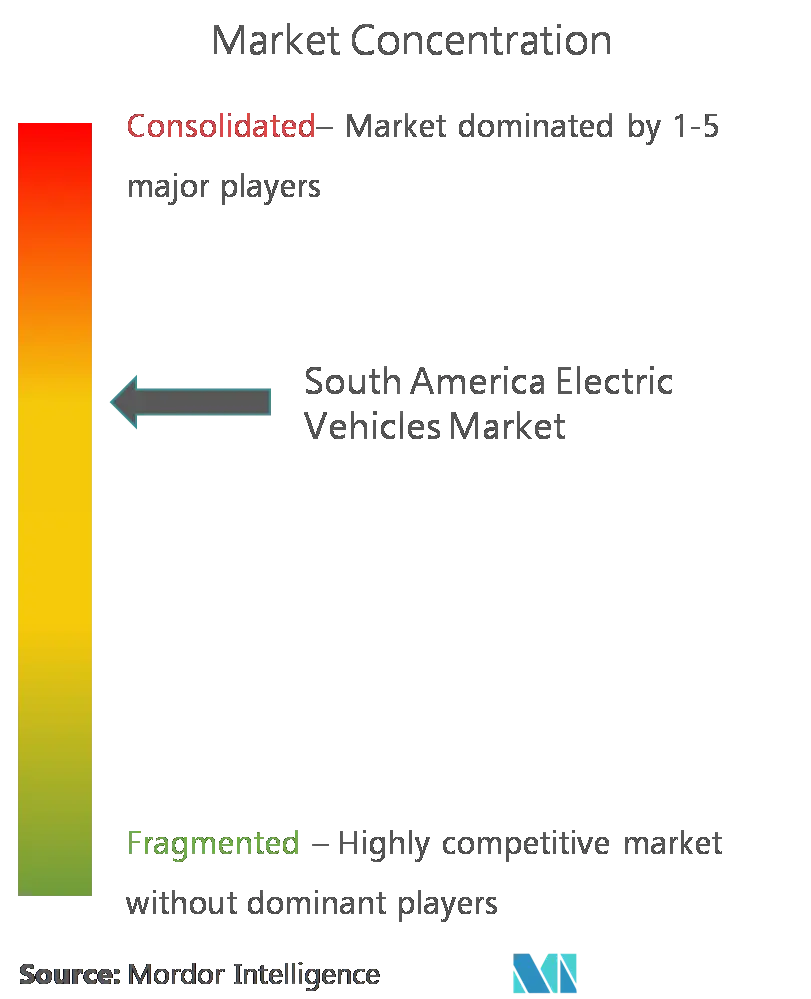 South America Electric Vehicles Market - Concentration.png