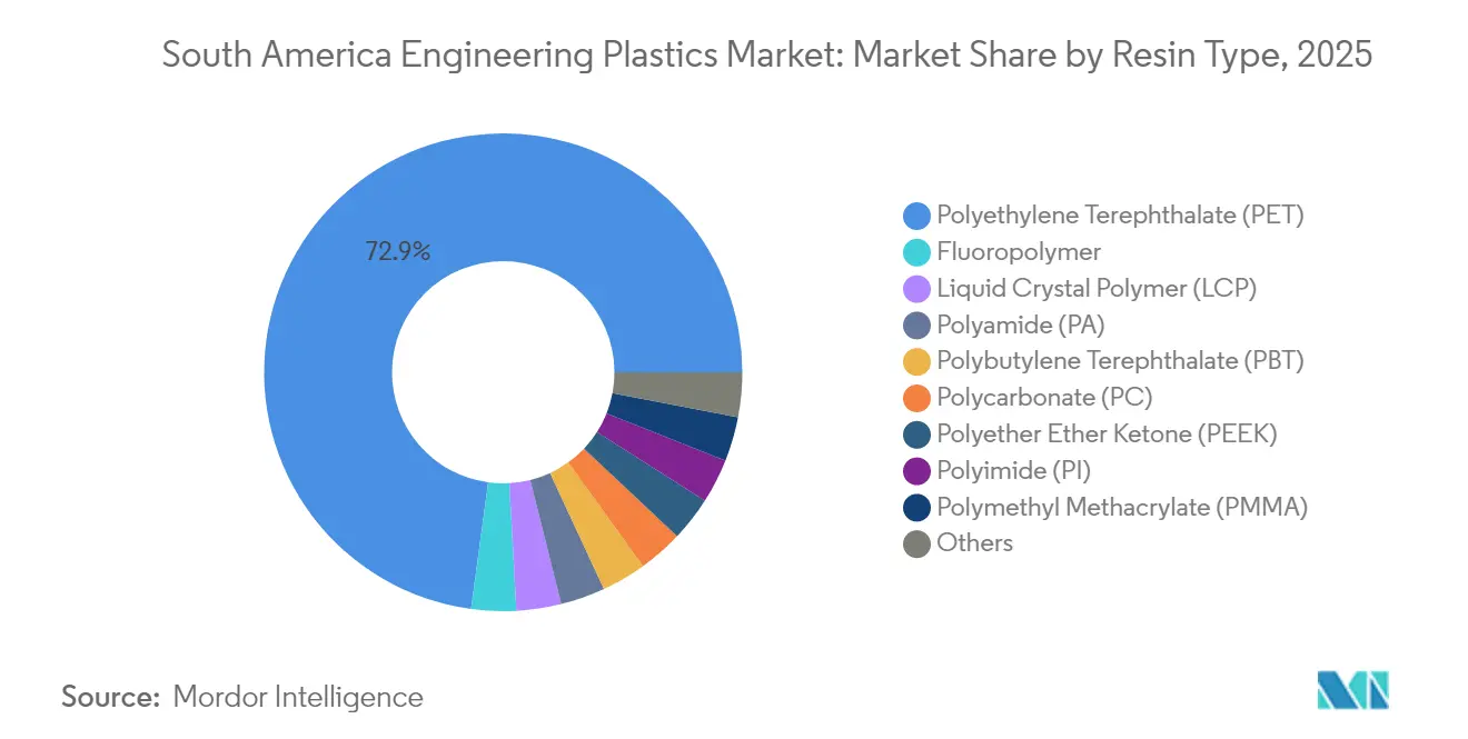 South America Engineering Plastics Market: Market Share by Resin Type, 2025