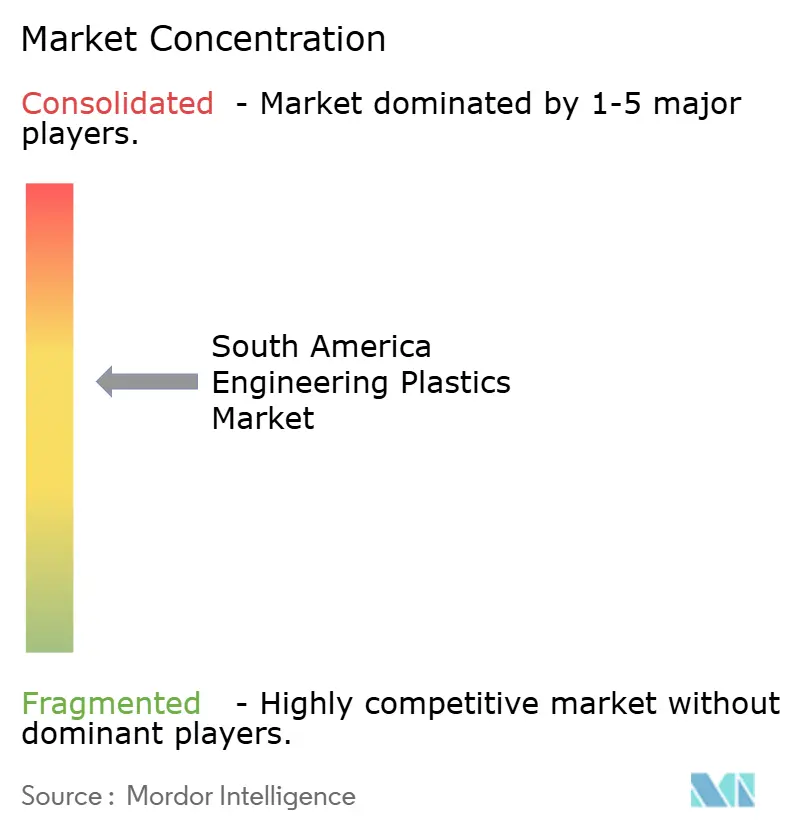 South America Engineering Plastics Market - Market Concentration