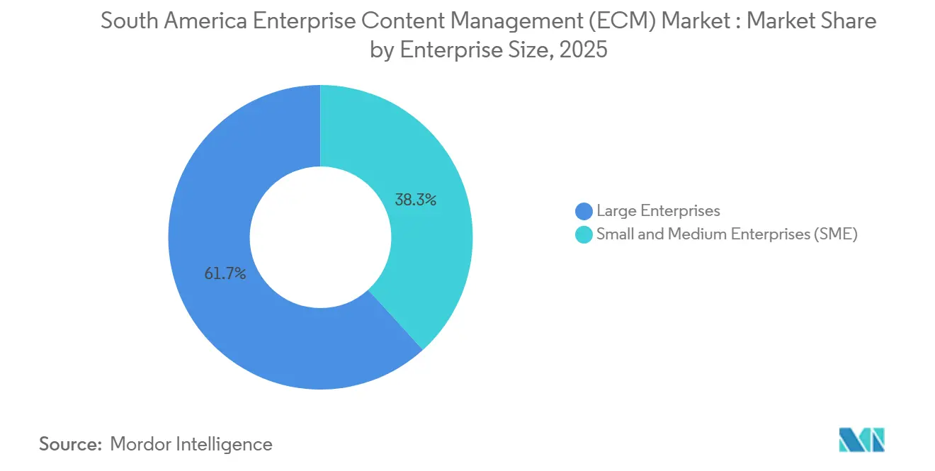 South America Enterprise Content Management (ECM) Market Share by Enterprise Size, 2025