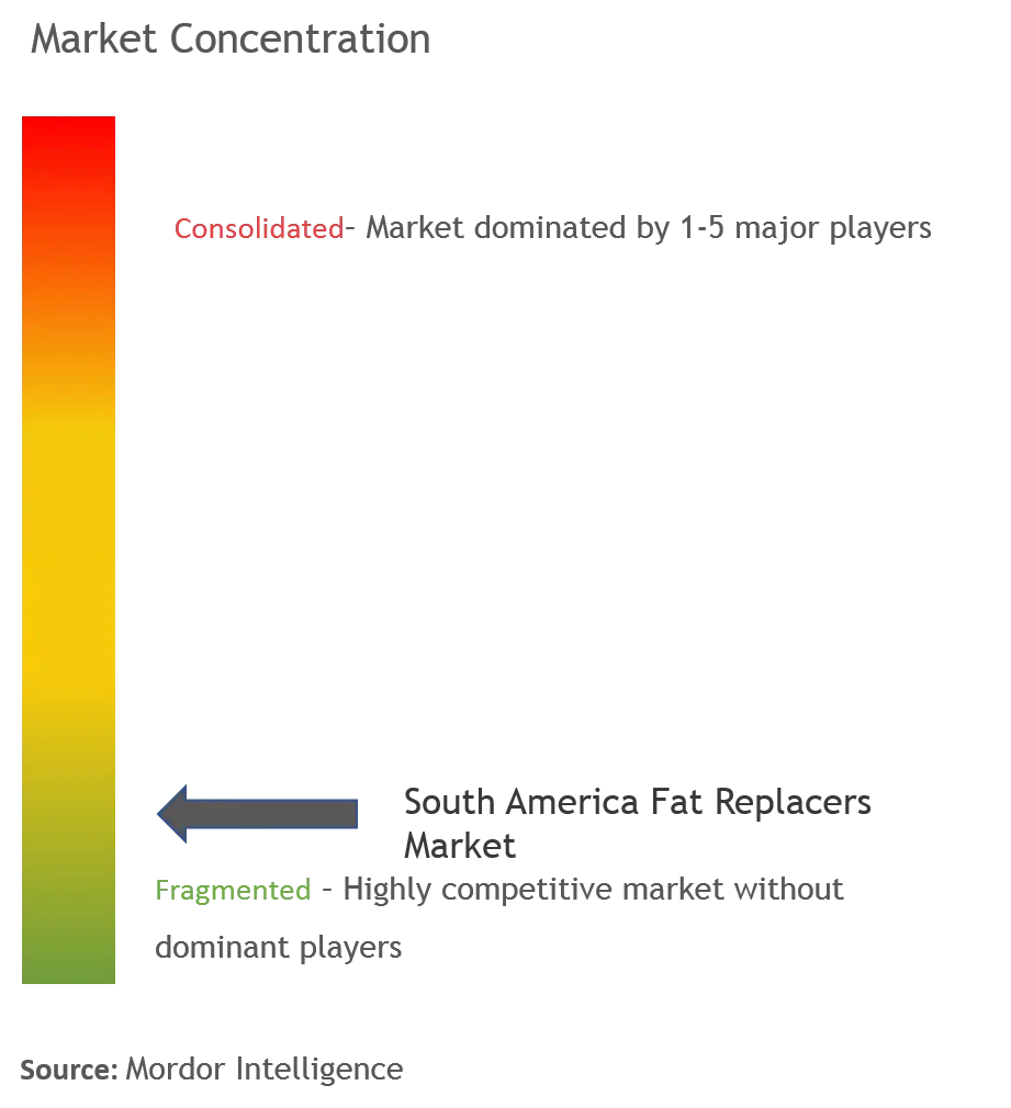 South America Fat Replacers Market Concentration