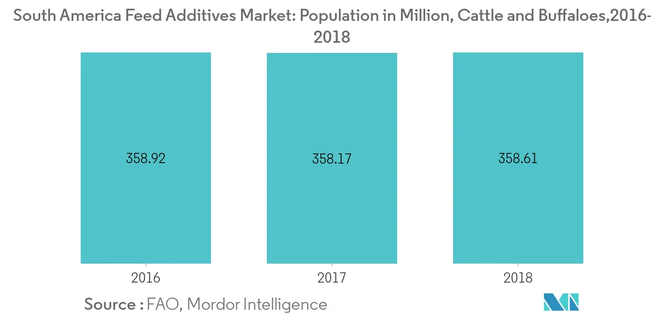 South America Feed Additives Market