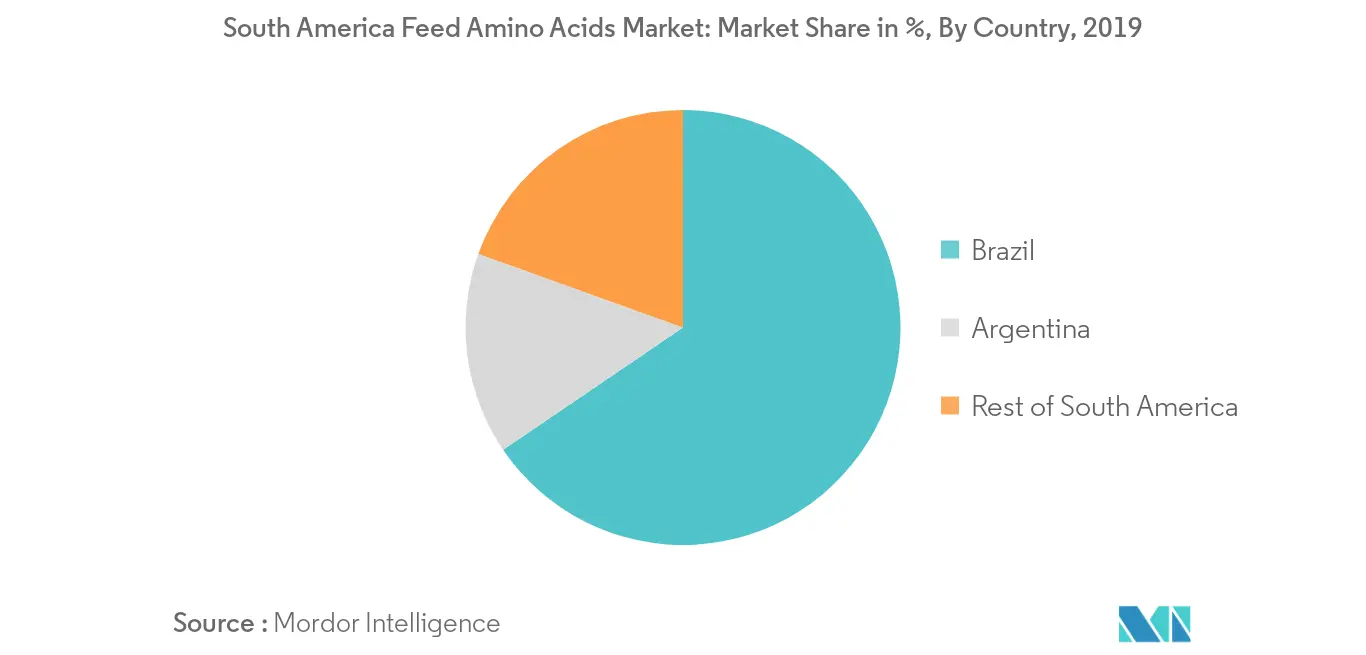 South America feed amino acids industry