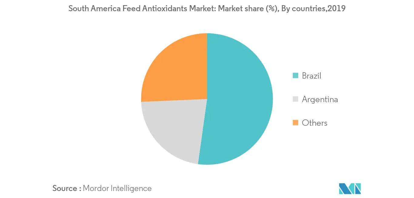 South America Feed Antioxidants Market: Market share (%), By countries, South America, 2019