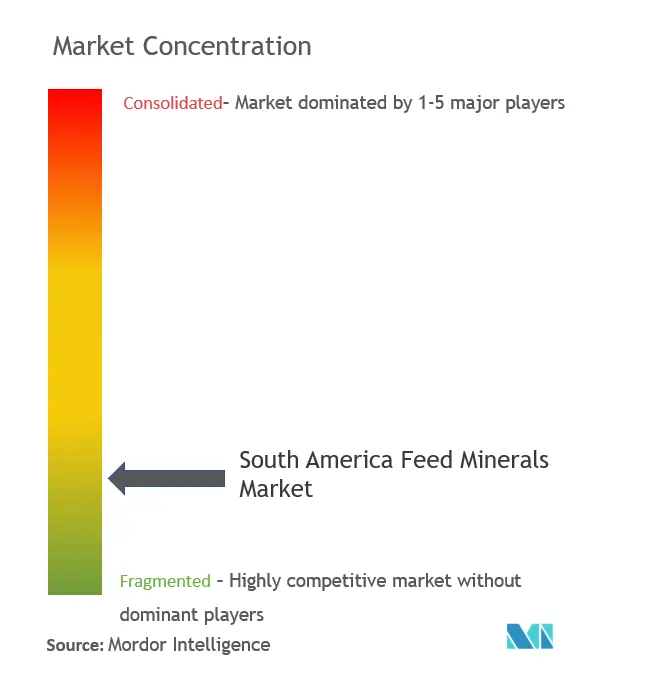 South America Feed Minerals Market Concentration