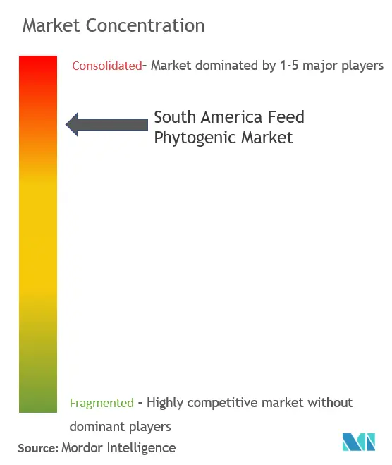 Fitógenos alimentarios de América del SurConcentración del Mercado