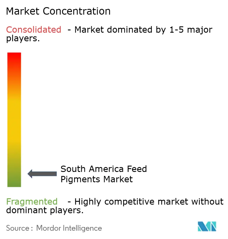 South America Feed Pigments Market Concentration