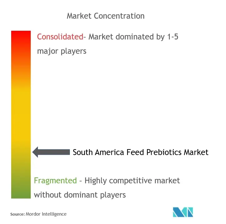 Prebióticos para piensos en América del SurConcentración del Mercado