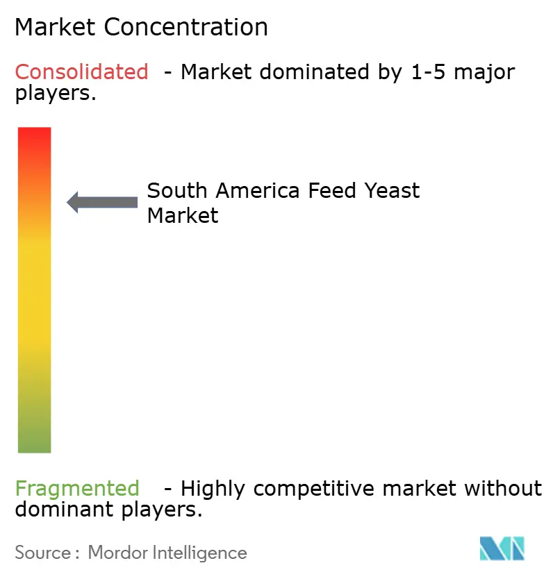 Concentrazione del mercato dei lieviti per mangimi in Sud America Concentrazione del mercato dei lieviti per mangimi in Sud America