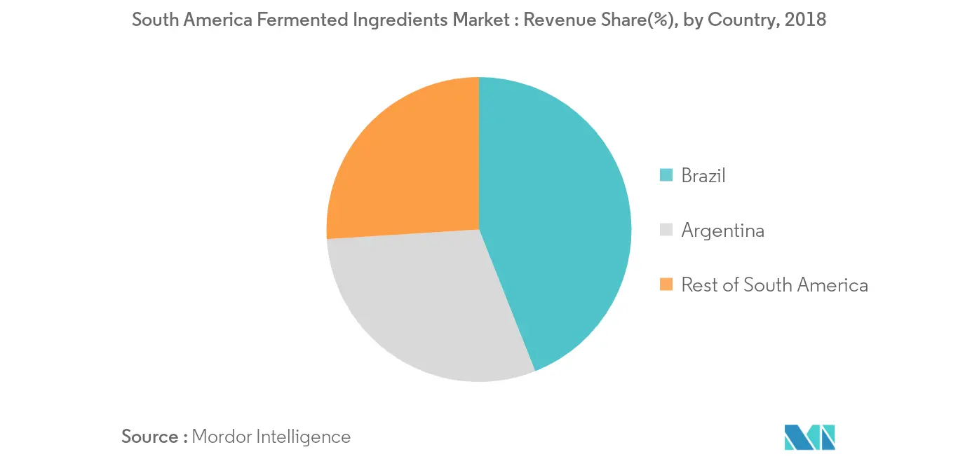 Marché des ingrédients fermentés en Amérique du Sud – 2