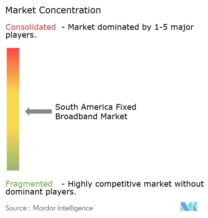 South America Fixed Broadband Market Concentration