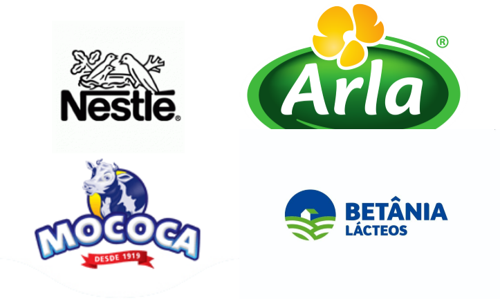  South America Flavored Milk Market Major Players