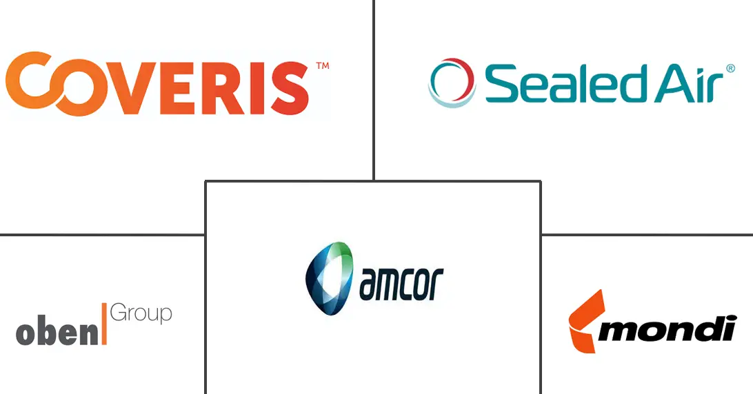 Major players in South America Flexible Packaging industry