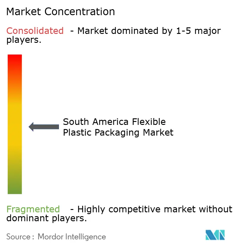 South America Flexible Plastic Packaging Market Concentration