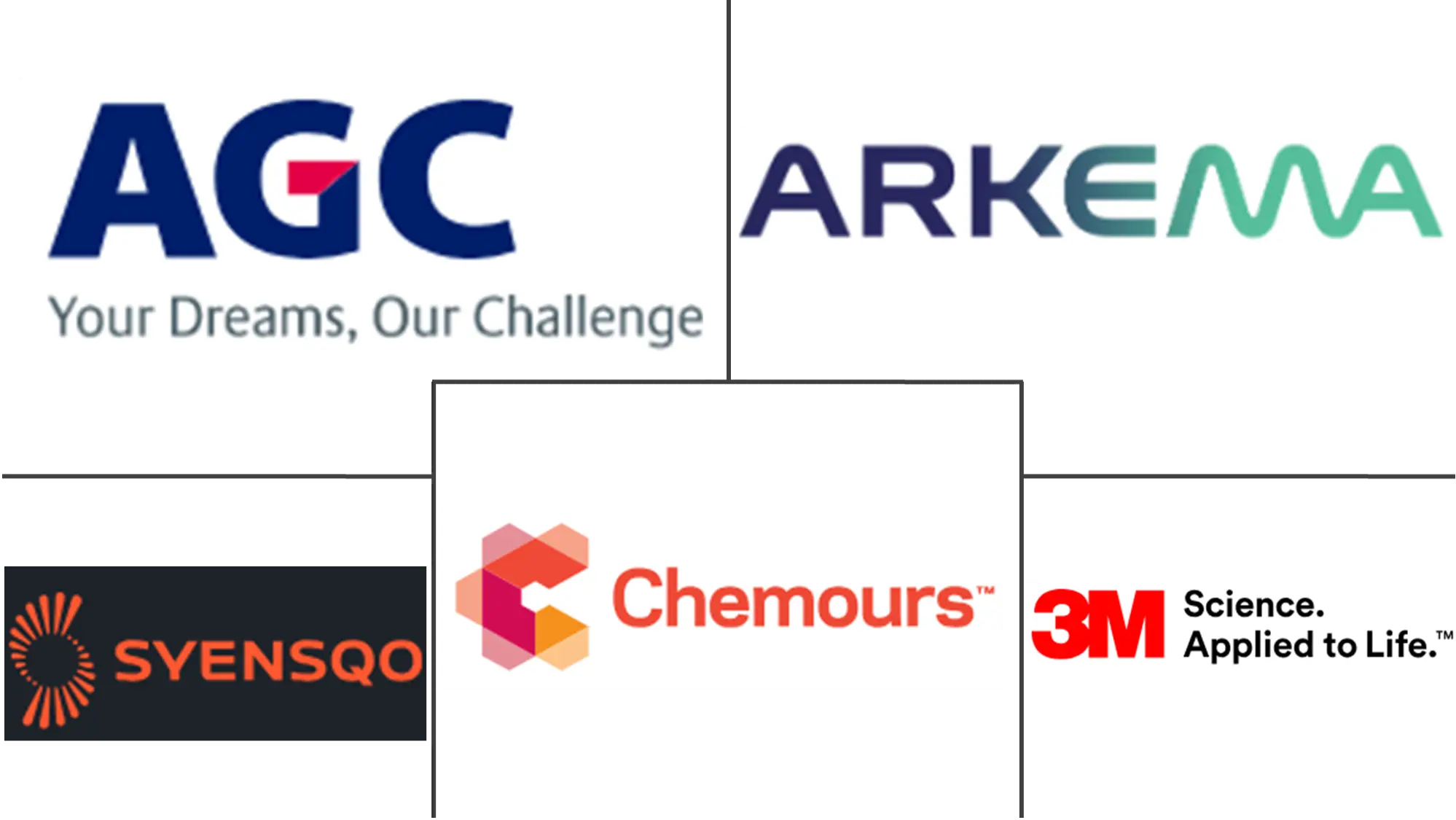 남미 플루오로폴리머 산업의 주요 참여자