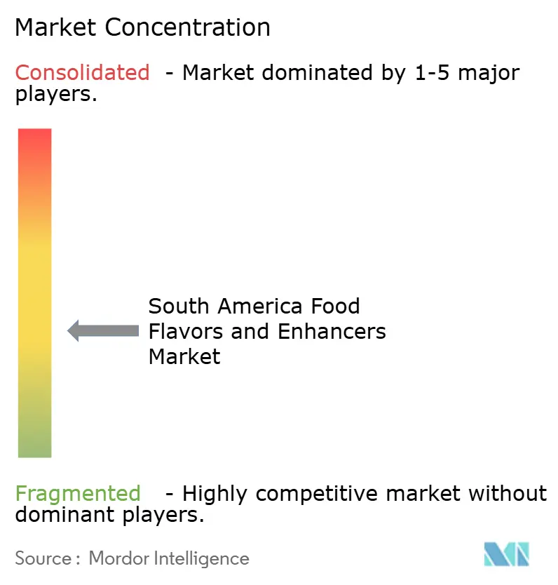 South America Food Flavors and Enhancers Market Concentration