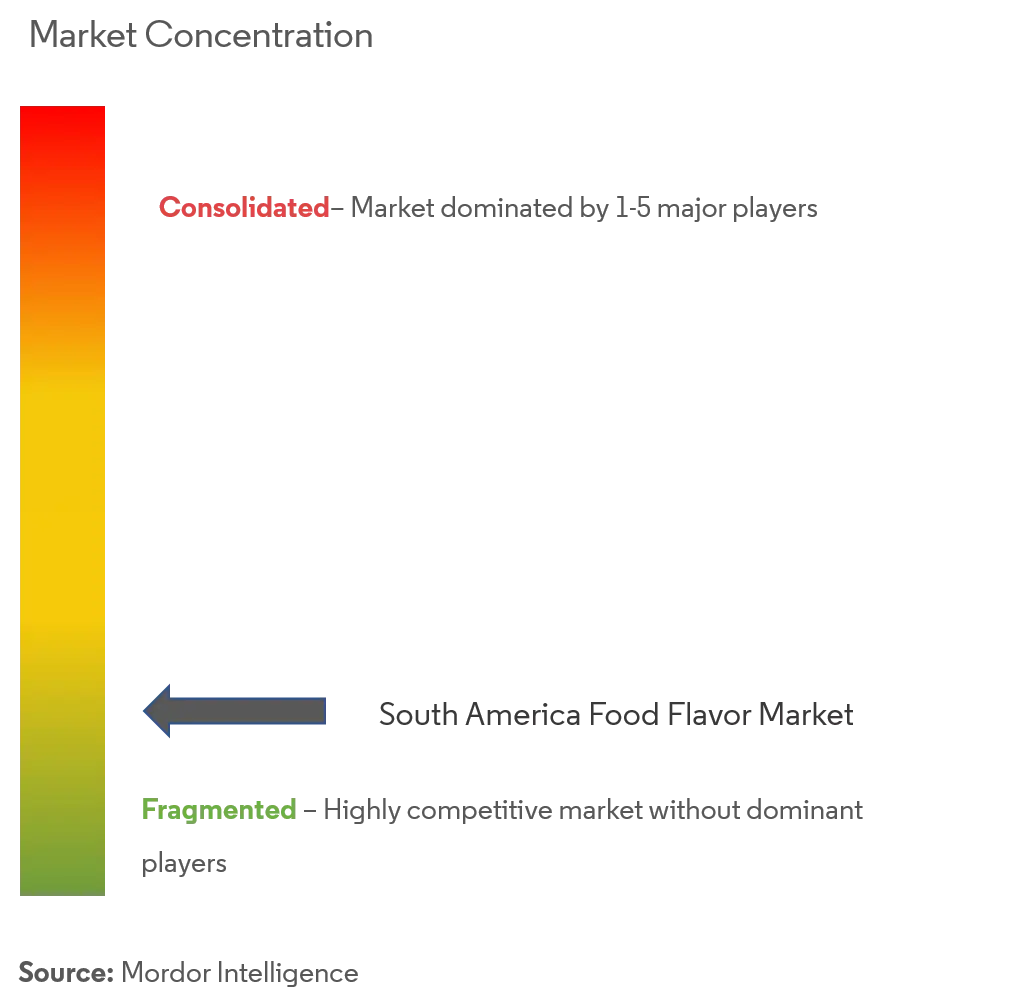 South America Food Flavor Market Concentration