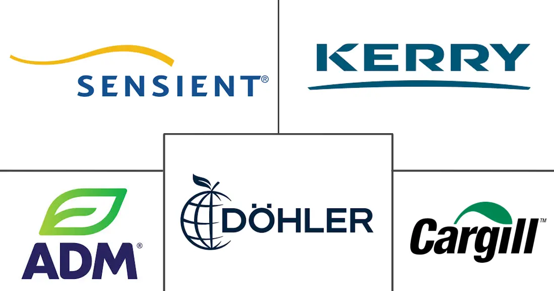 Major players in South America Fruit And Vegetable Ingredients industry