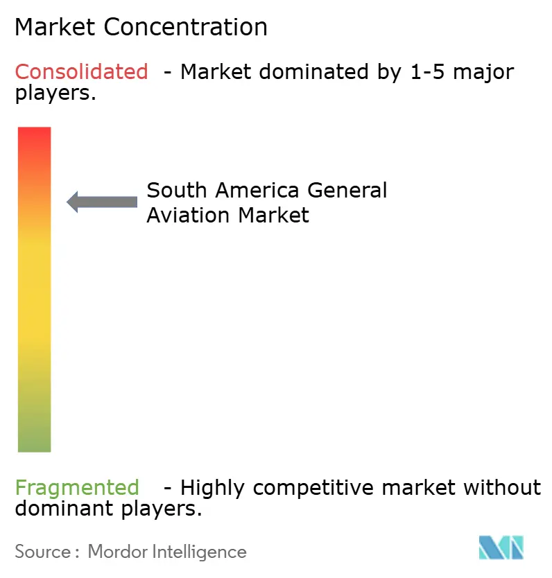 South America General Aviation Market Concentration