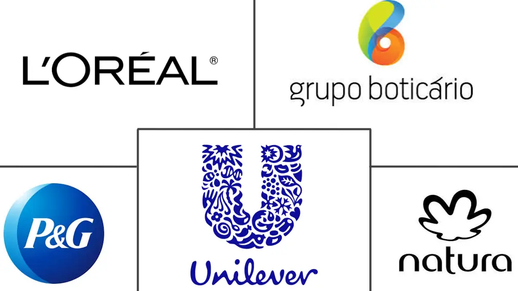 Major players in South America Hair Care industry