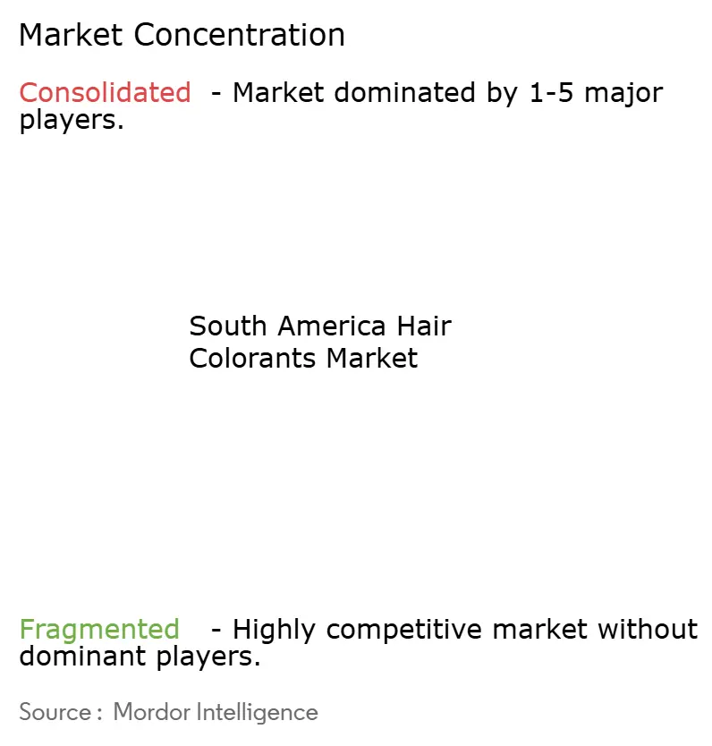 South America Hair Colorants Market Concentration