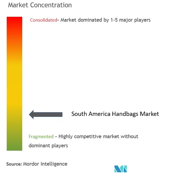 Counterfeit handbag sales hinder growth in Brazilian handbags market