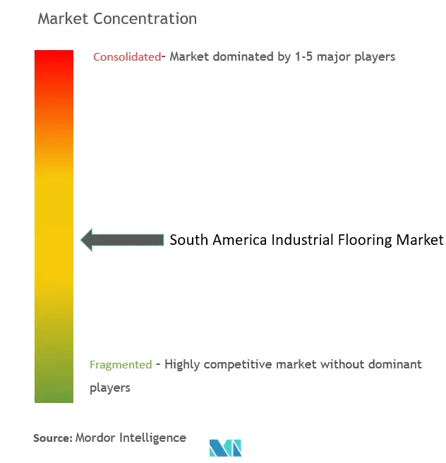南米の工業用フローリング市場の集中