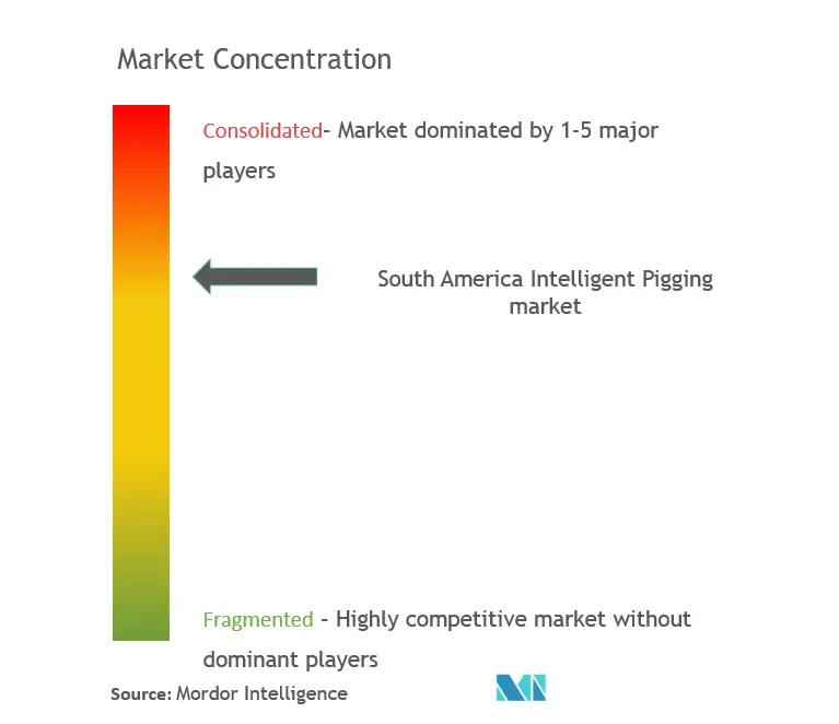 South America Intelligent Pigging Market Concentration