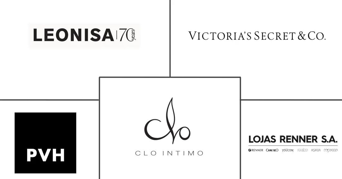Major players in South America Lingerie industry