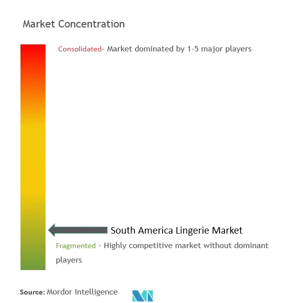 South America Lingerie Market Concentration