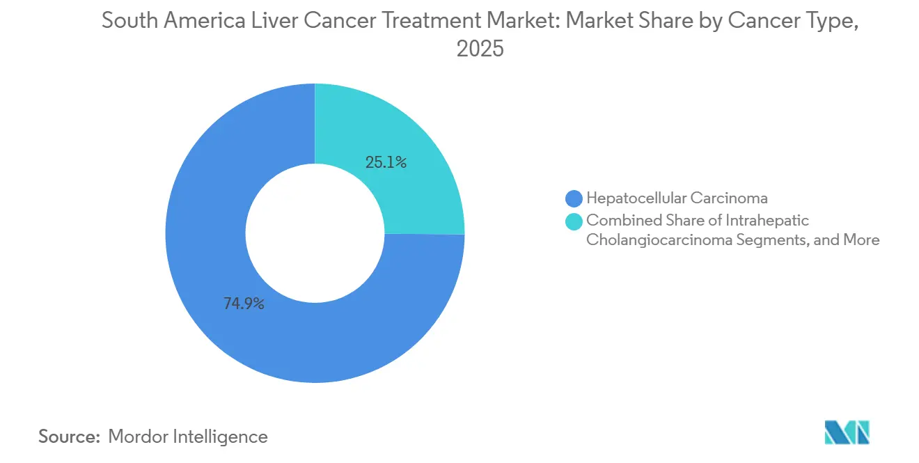 South America Liver Cancer Treatment Market Share by Cancer Type, 2025