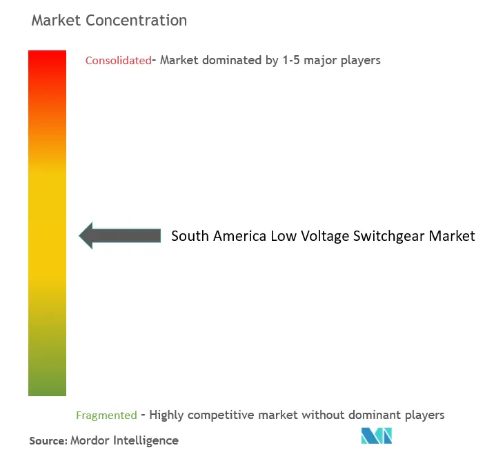 South America Low Voltage Switchgear Market Concentration