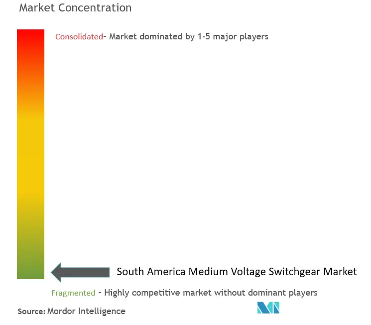 South America Medium Voltage Switchgear Market Concentration