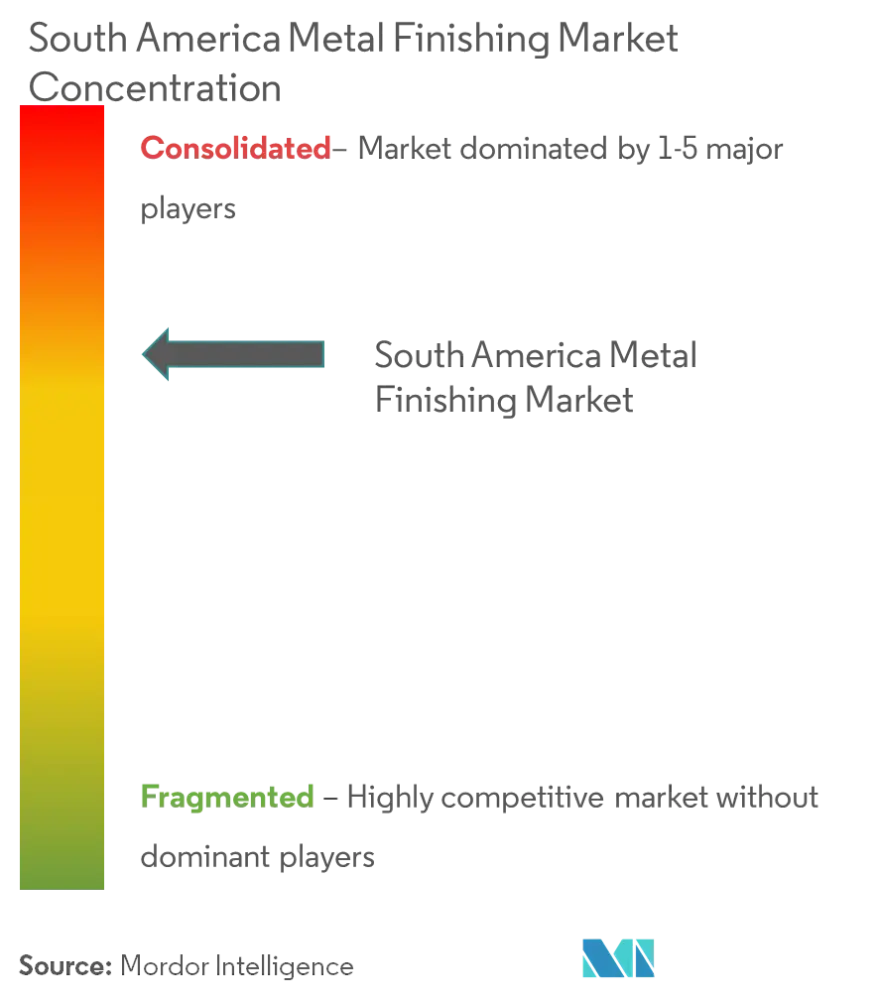 Market Concentration - South America Metal Finishing Market.png