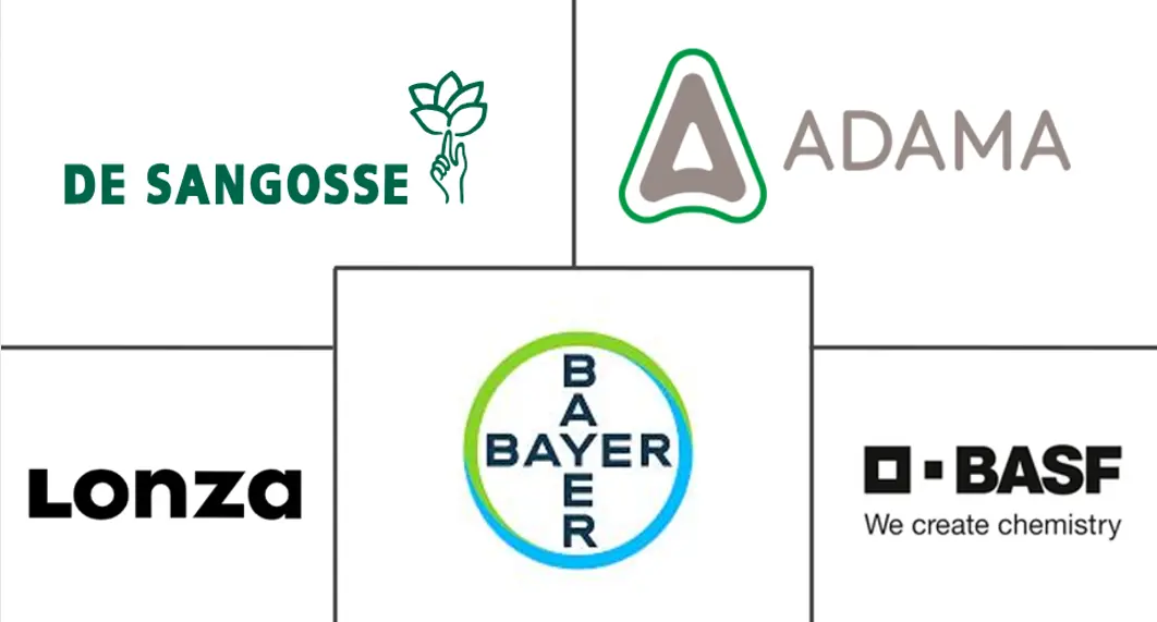 Related Companies Logo