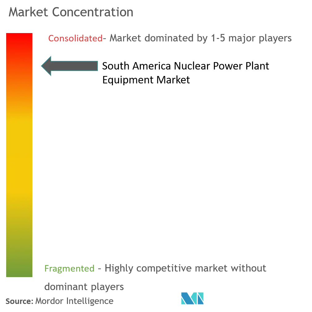 Market Concentration-South America Nuclear Power Plant Equipment Market.png