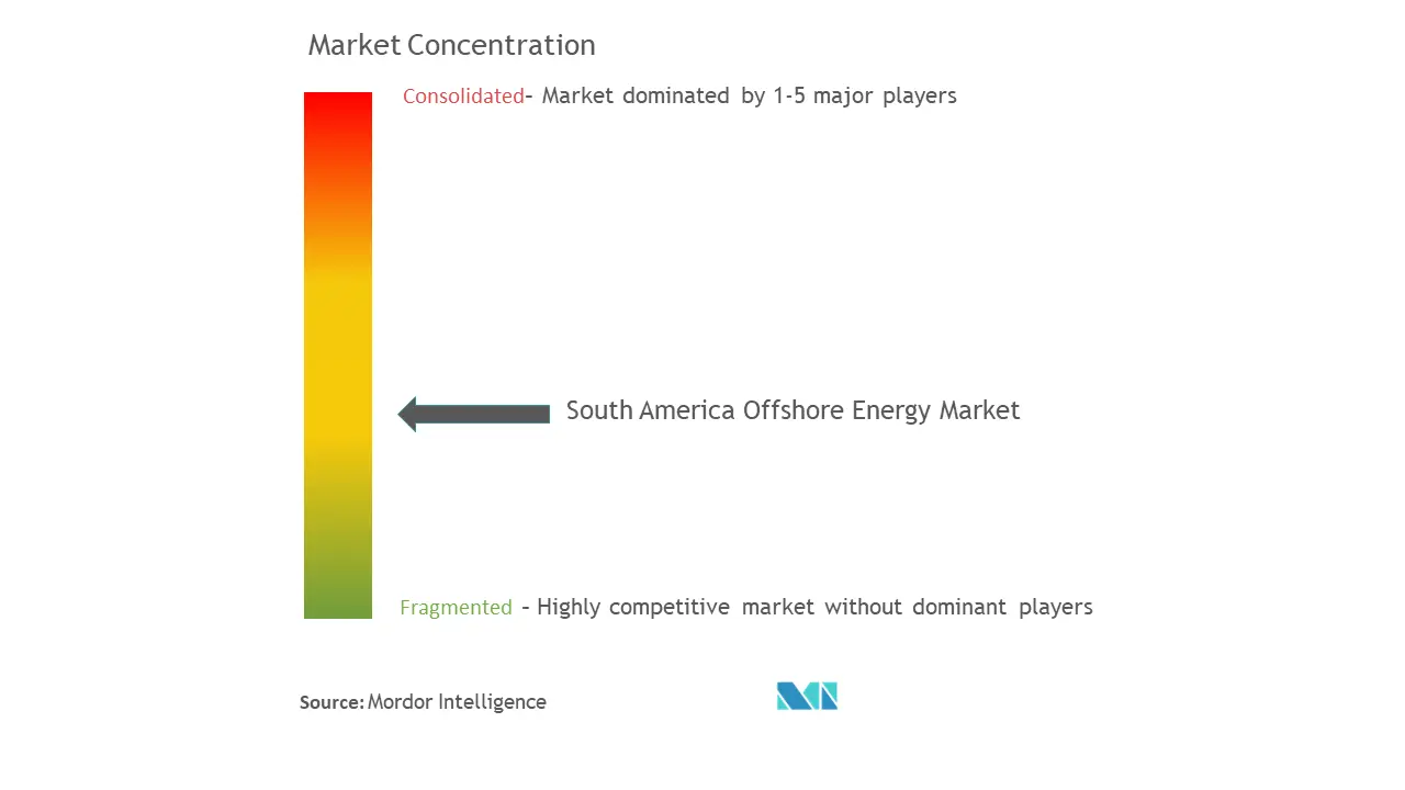 South America Offshore Energy Market Concentration