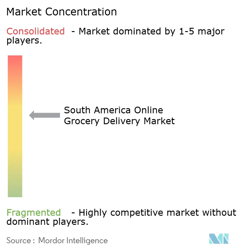 South America Online Grocery Delivery Market Concentration
