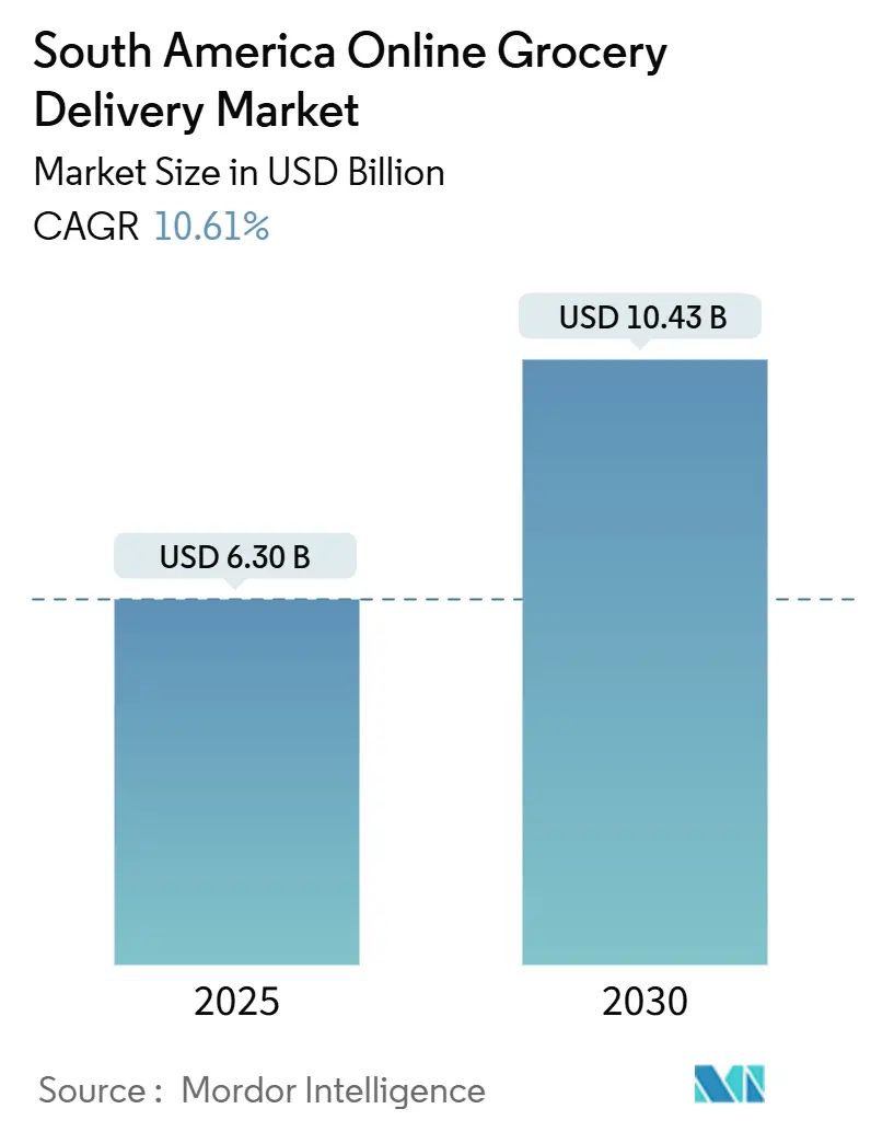 South America Online Grocery Delivery Market Summary