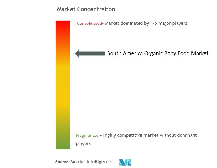 South America Organic Baby Food Market Concentration