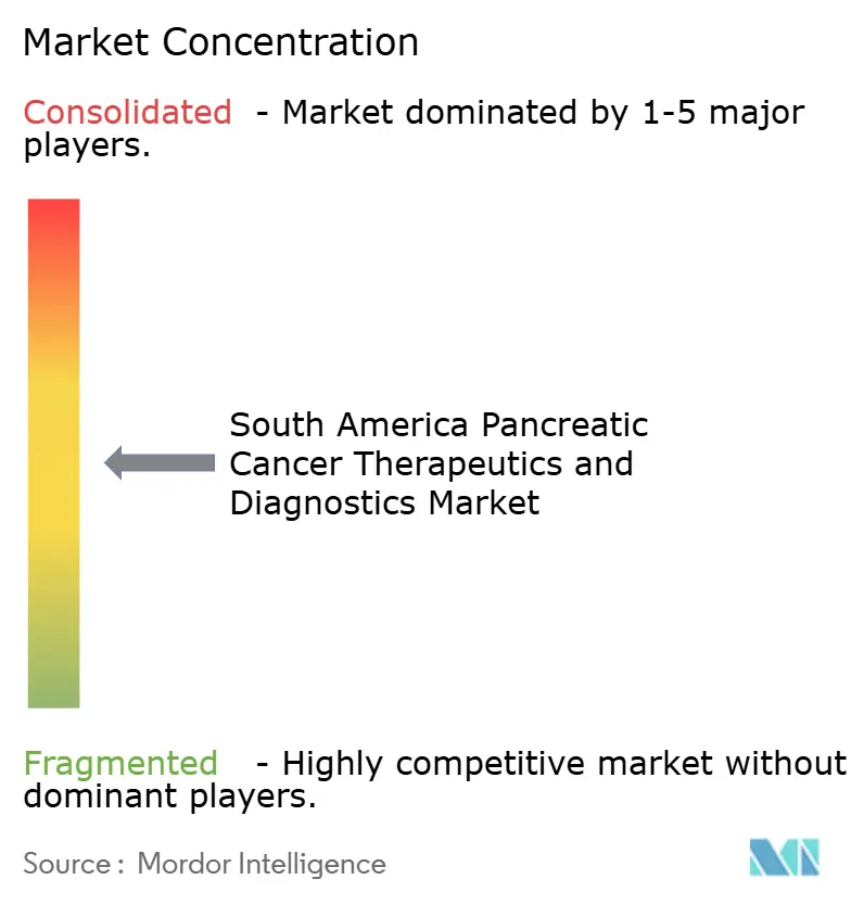 South America Pancreatic Cancer Therapeutics and Diagnostics Market Concentration