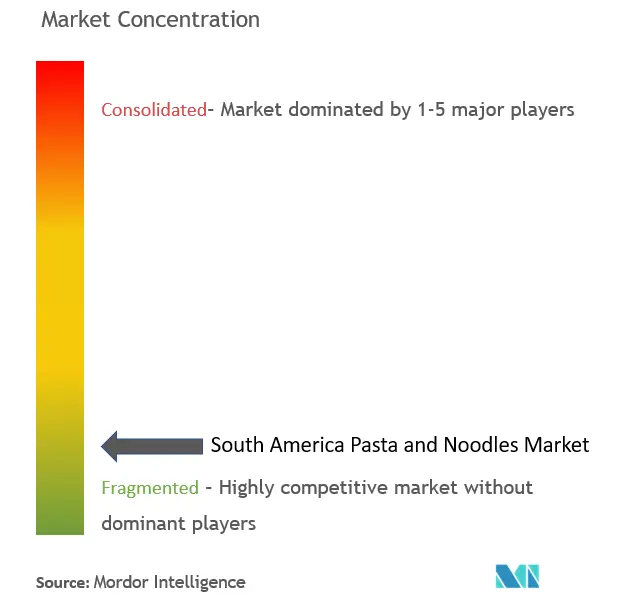 South America Pasta and Noodles Market Concentration