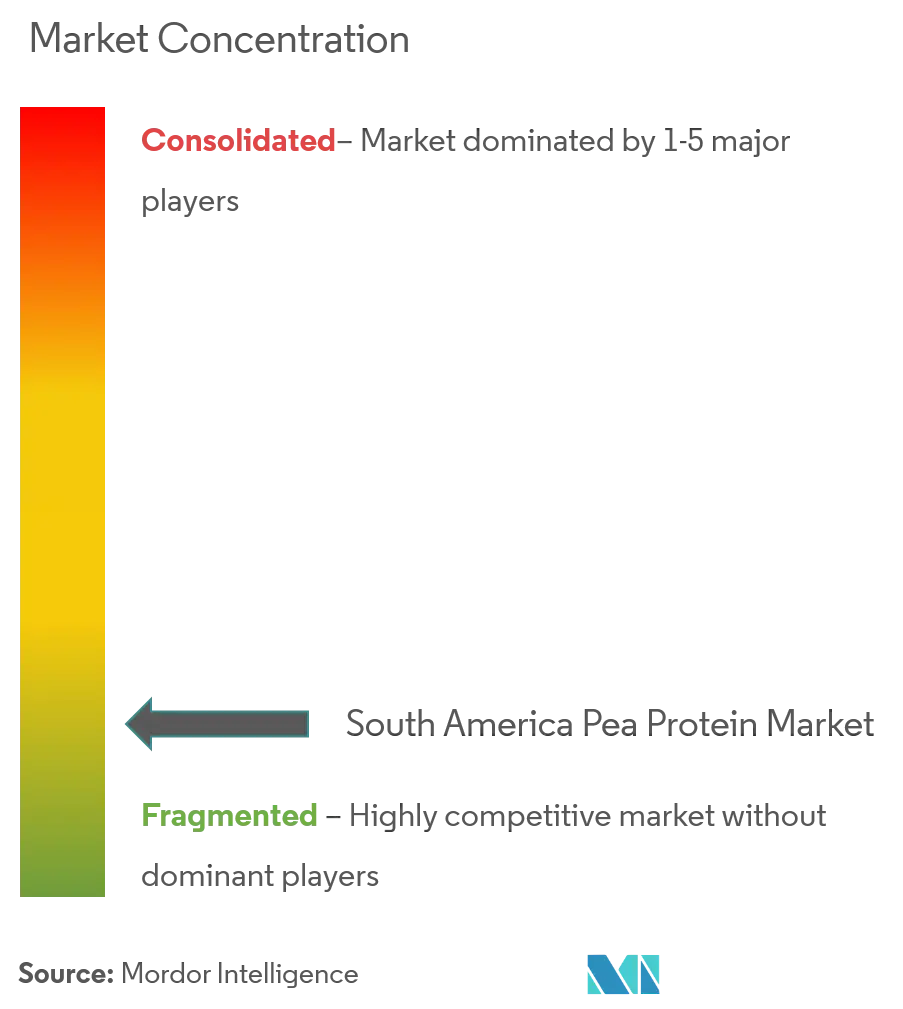 South America Pea Protein Market Concentration