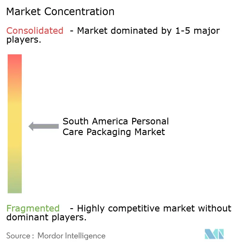South America Personal Care Packaging Market Concentration