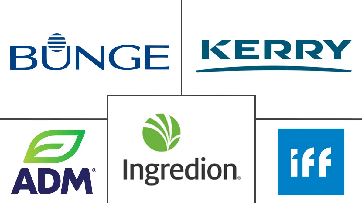 Major players in South America Plant Protein Ingredients industry